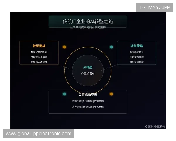 武汉羽毛球队的转型之路：从传统强队到现代竞技的深度解析
