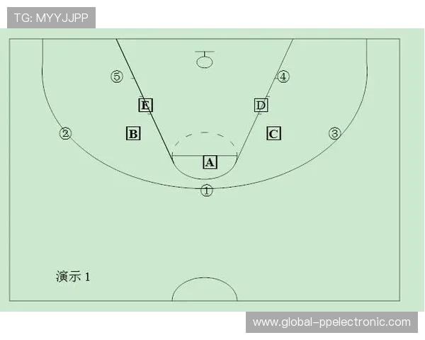 武汉羽毛球队快攻战术解析与深度剖析的全景视角