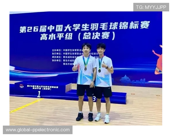 武汉羽毛球队荣获全国羽毛球技术排行榜第三名的辉煌成就解析