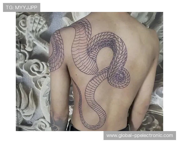 足球明星蛇纹身图案全解析展现个性与魅力的艺术之旅 足球明星蛇纹身图案全解析展现个性与魅力的艺术之旅