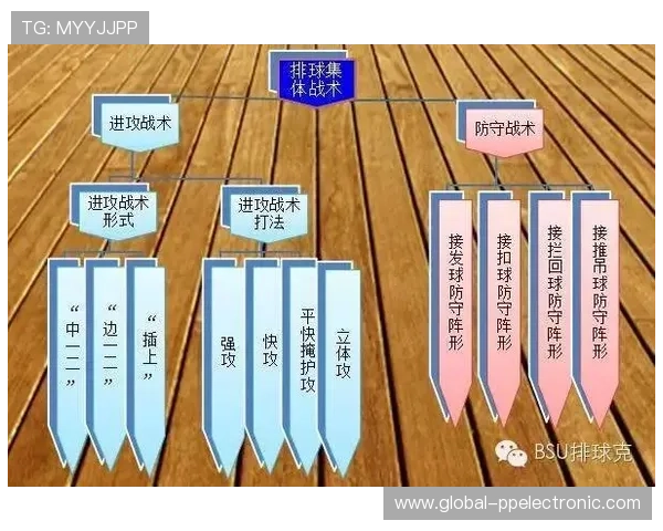 广州排球队节奏对比独家解析与战术分析探讨